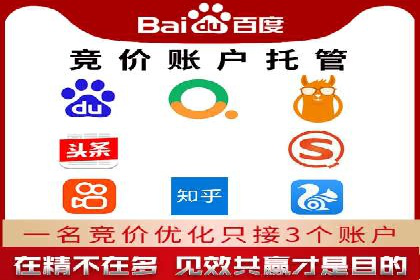 成功案例：sem竞价托管的智慧与策略